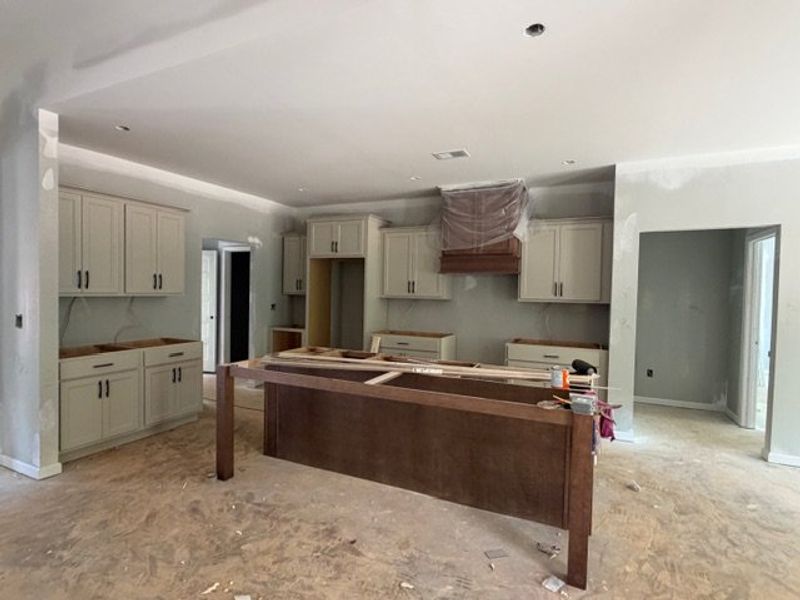 In-progress construction of a new home in WOODMONT RESERVE, Roopville, GA (Image 4).