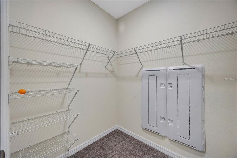 Spacious, unfurnished interior of a new home in , Wesley Chapel (Image 49).