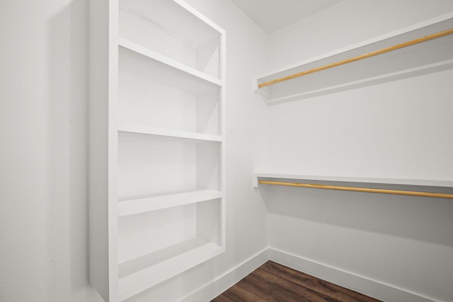 Walk in closet featuring dark wood-style flooring