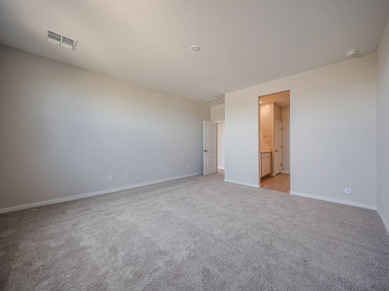 A room with a carpet and a door.