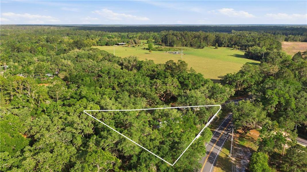 Natural landscape and outdoor views near  in Ocklawaha (Image 19).