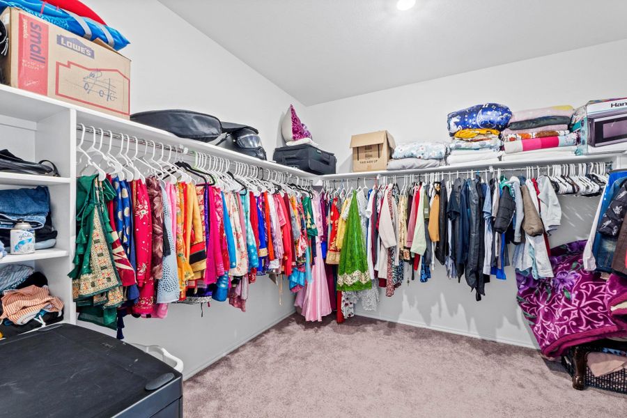 Spacious walk-in closet featuring white wall-mounted shelving, extensive hanging rods, and light-toned carpeting
