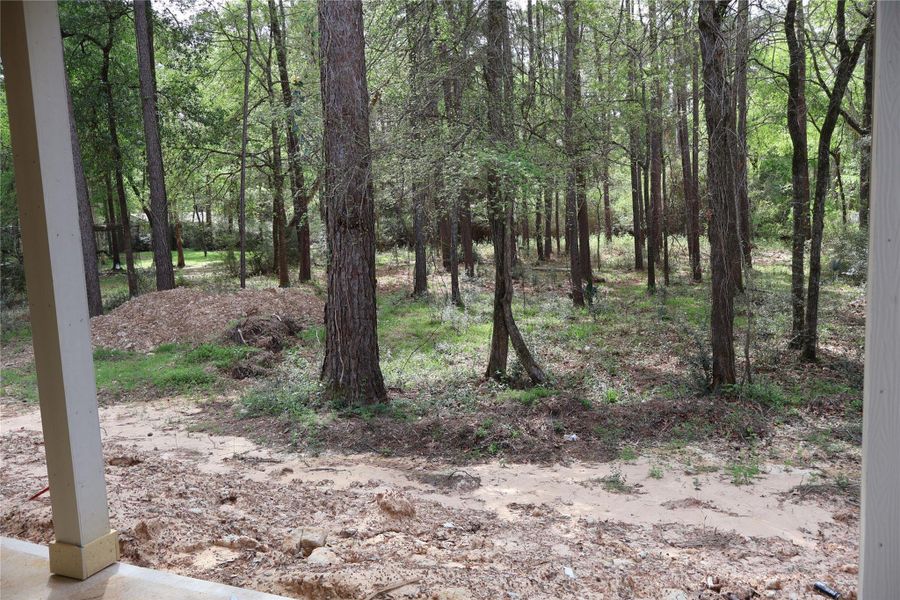 Natural landscape and outdoor views near  in Magnolia (Image 33).