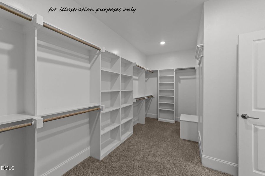 49-web-or-mls-VB4A6676
