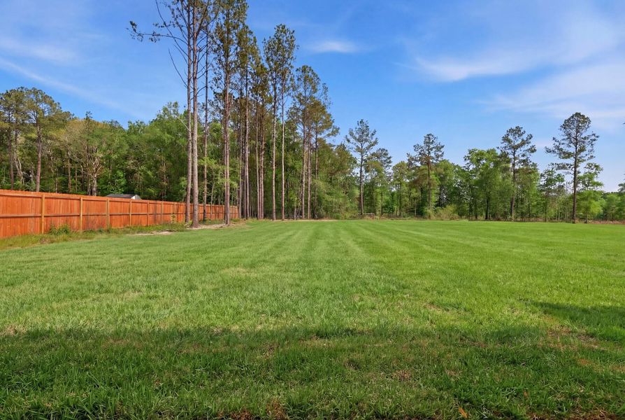 Grass is virtually staged