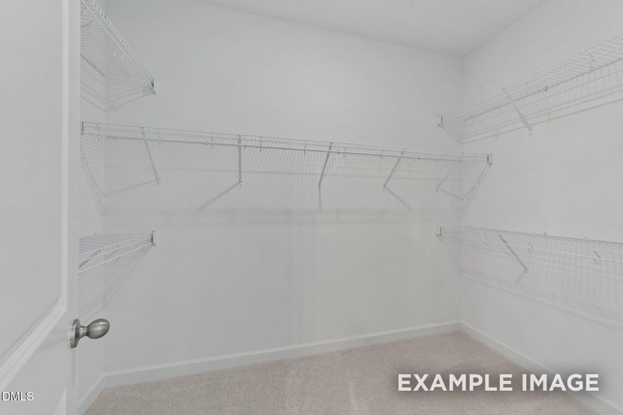 44-web-or-mls-VB4A8856