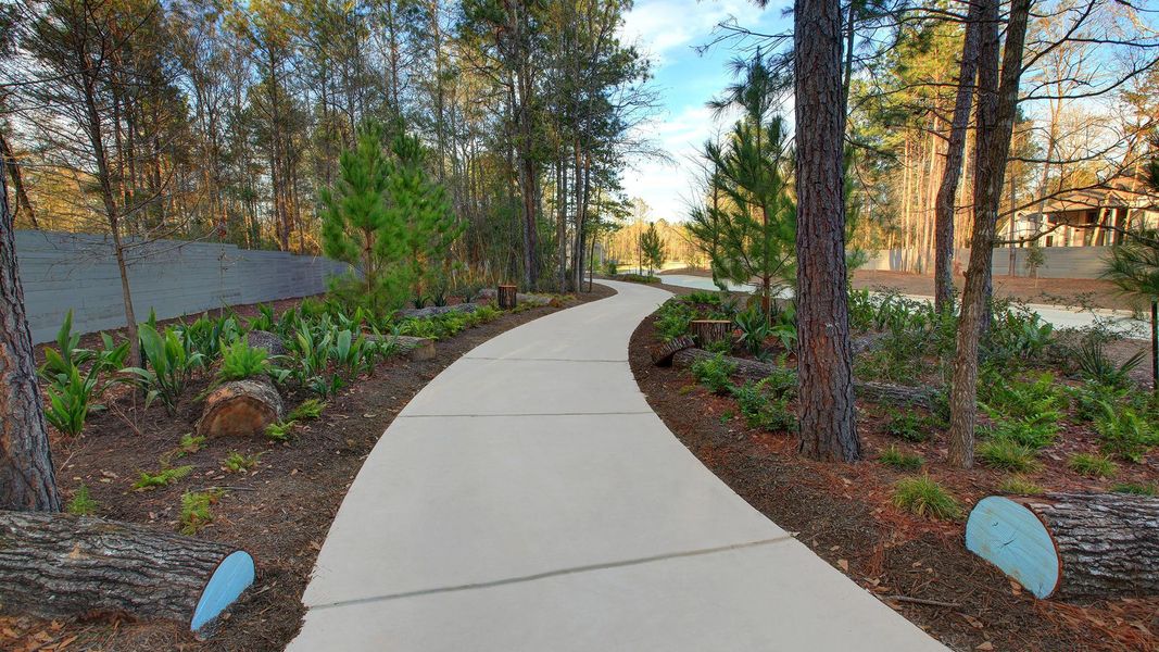 Community amenities in Artavia, Conroe (Image 14).