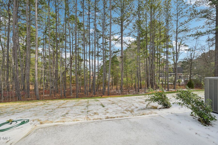 50-web-or-mls-Bayflower Wy-S3101-050