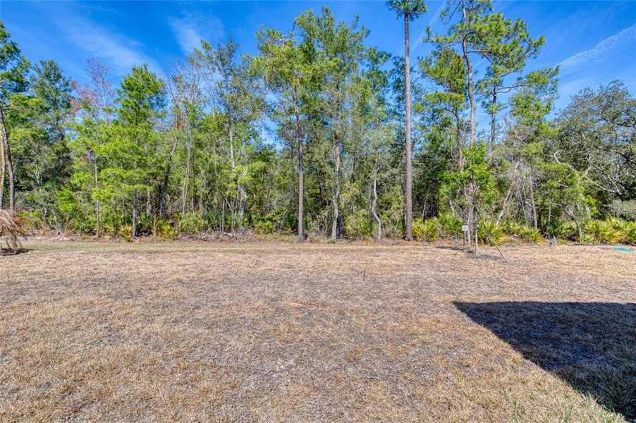 Natural landscape and outdoor views near  in Daytona Beach (Image 76).