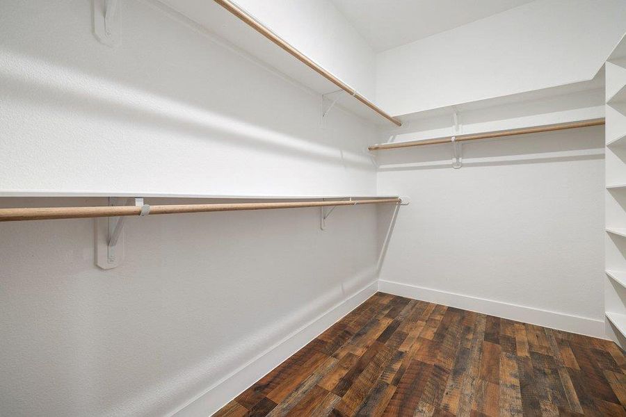 Walk in closet featuring dark wood-style flooring