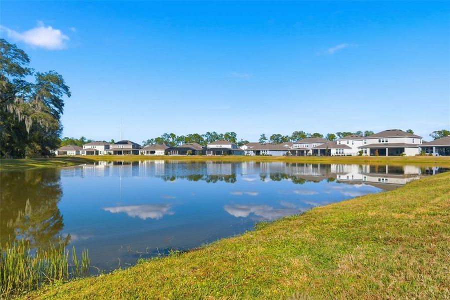 Natural landscape and outdoor views near in Wesley Chapel (Image 36). Natural landscape and outdoor views near in Wesley Chapel (Image 36).