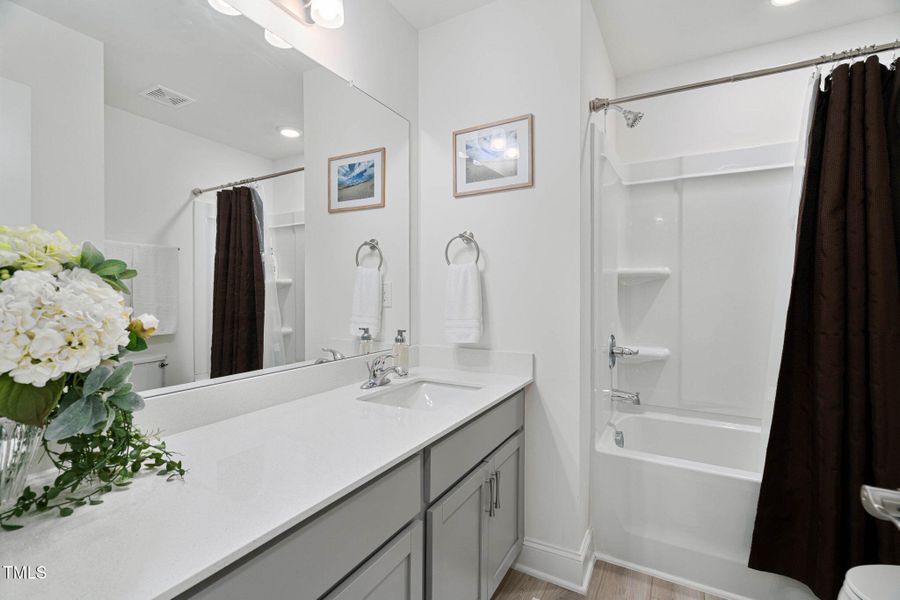 hall bathroom queen pierrette