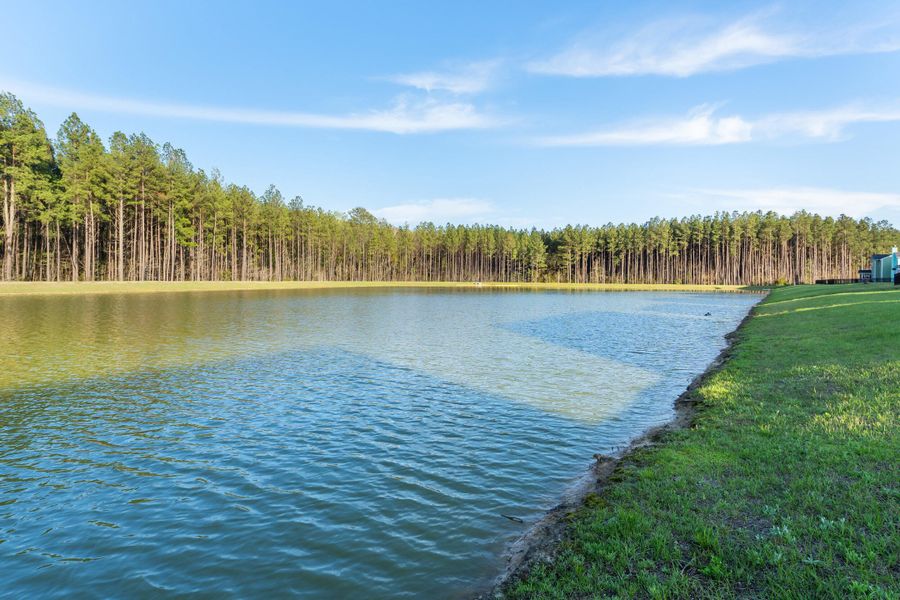 Natural landscape and outdoor views near  in Ravenel (Image 31).