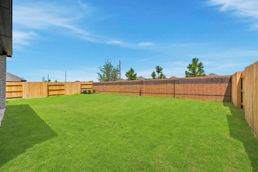 Backyard