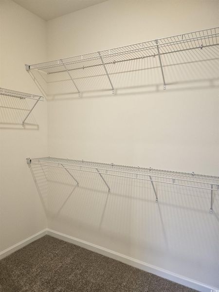 Spacious, unfurnished interior of a new home in Avery Woods, Longs (Image 22).