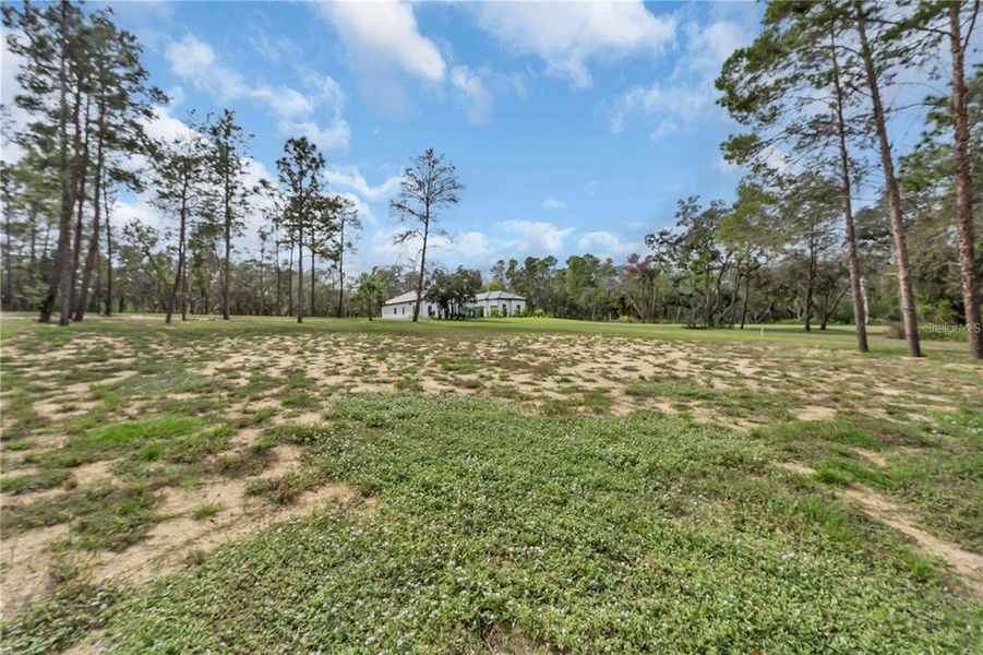 Natural landscape and outdoor views near in Kissimmee (Image 51). Natural landscape and outdoor views near in Kissimmee (Image 51).