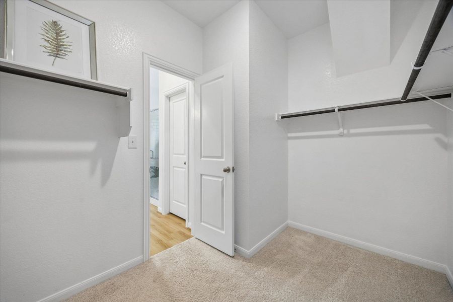 Walk in closet featuring light colored carpet