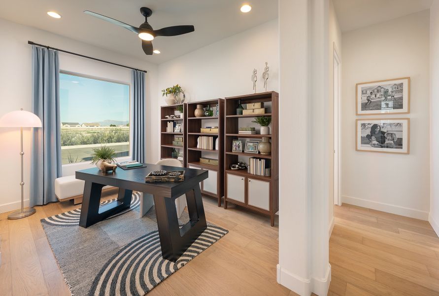 The Monticello - Study