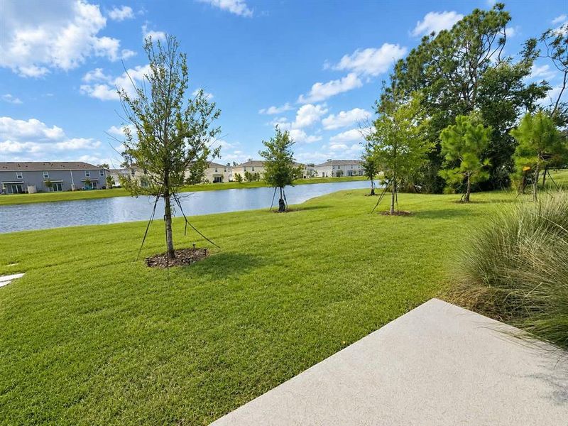 Natural landscape and outdoor views near Rivers Edge in Edgewater (Image 42).