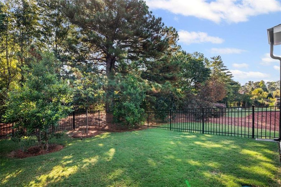 Natural landscape and outdoor views near  in Alpharetta (Image 36).