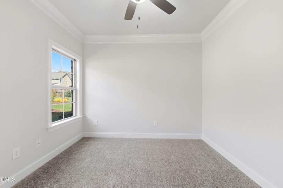 48-web-or-mls-DSC07051