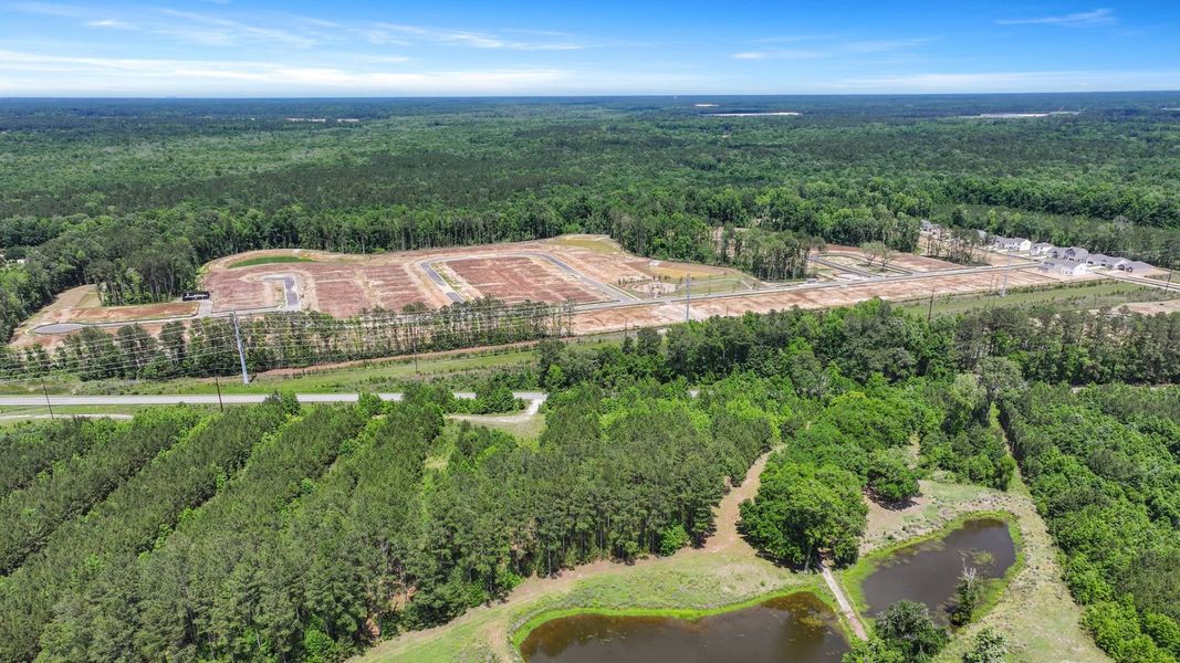 Site preparation for new homesites in Pineview North, Summerville (Image 33).