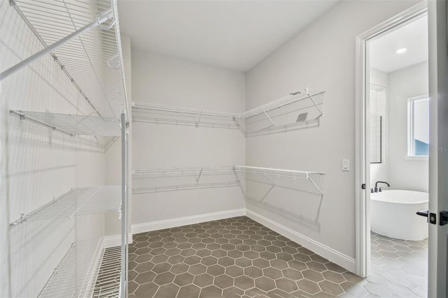 Spacious, unfurnished interior of a new home in Laureate Park at Lake Nona - Park Series, Orlando (Image 43).