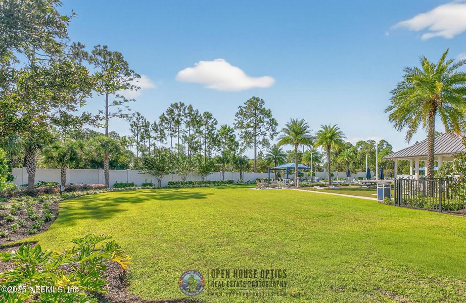 Natural landscape and outdoor views near  in Jacksonville (Image 35).