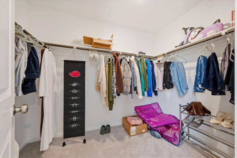 Furnished interior view inside a new home in , Hockley (Image 14).