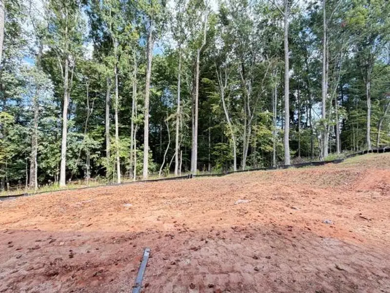Site preparation for new homesites in , Buford (Image 18). Site preparation for new homesites in , Buford (Image 18).