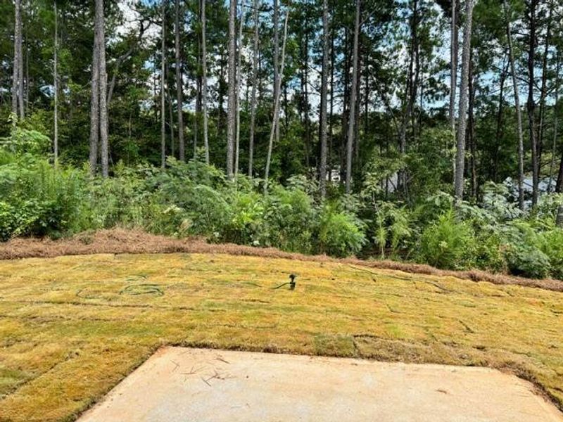 Natural landscape and outdoor views near Park Center Pointe in Mableton (Image 15).