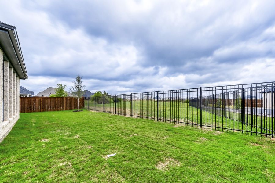 807 Open Range - Backyard
