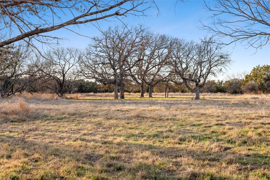 View of yard featuring a view of rural / pastoral area