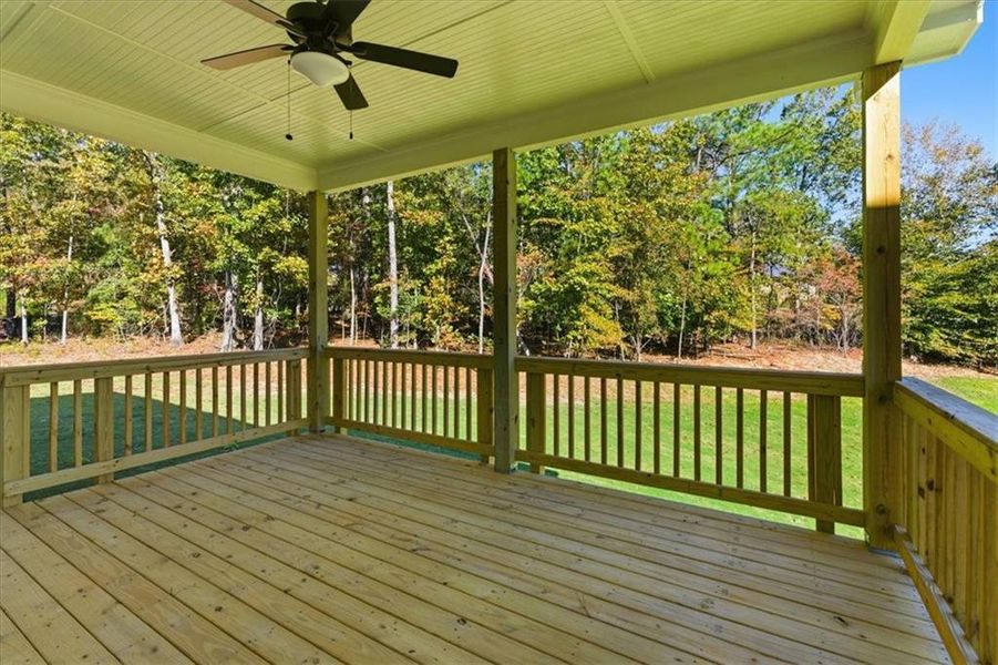 Exterior details and patio area of a home in The Estates at Hurricane Pointe, Douglasville (Image 30).