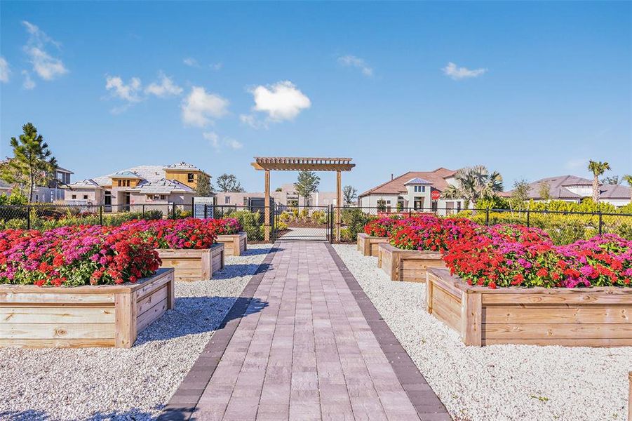 Community amenities in Esplanade at Azario Lakewood Ranch, Bradenton (Image 38). Community amenities in Esplanade at Azario Lakewood Ranch, Bradenton (Image 38).