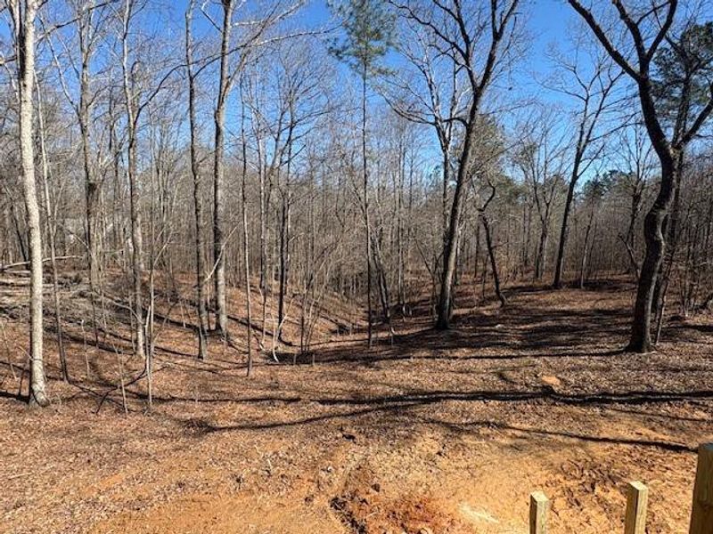 Natural landscape and outdoor views near in Jasper (Image 6). Natural landscape and outdoor views near in Jasper (Image 6).
