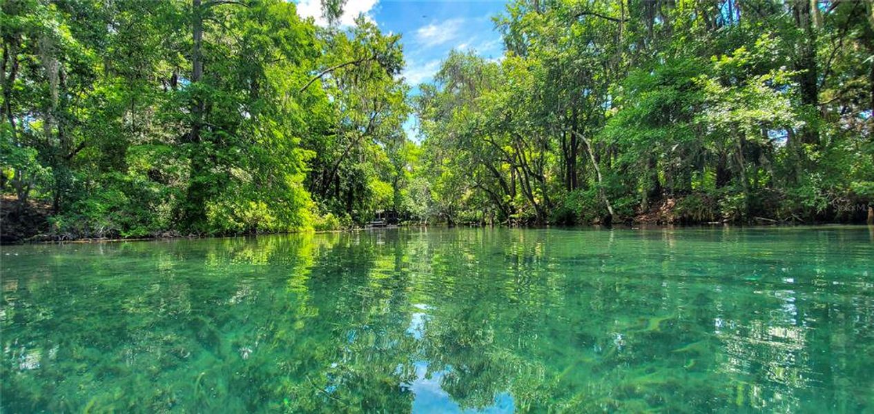 Natural landscape and outdoor views near  in Dunnellon (Image 40).