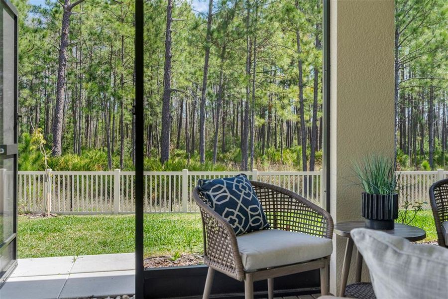 Exterior details and patio area of a home in Pearl Estates, Lutz (Image 24). Exterior details and patio area of a home in Pearl Estates, Lutz (Image 24).
