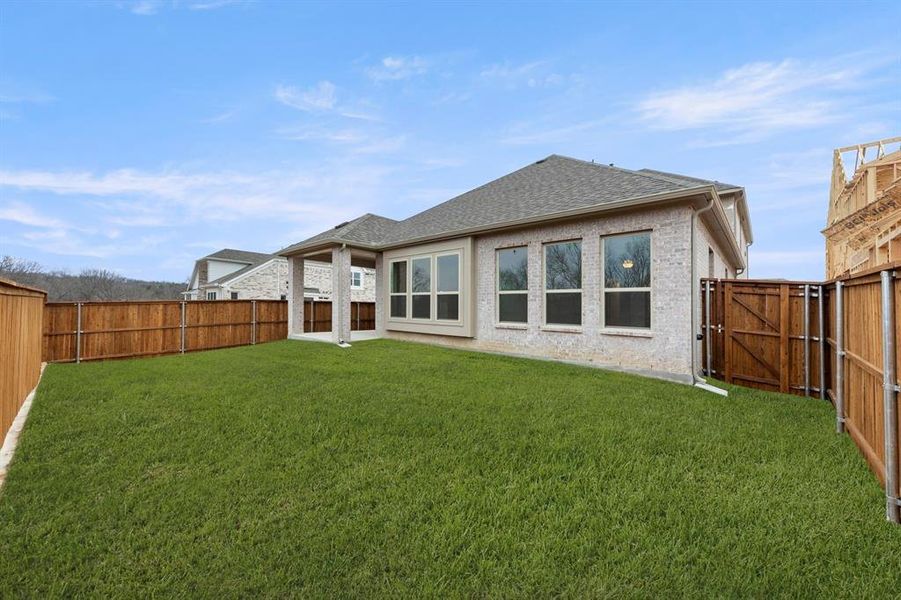 27. 721 Phoenix - Back (2)