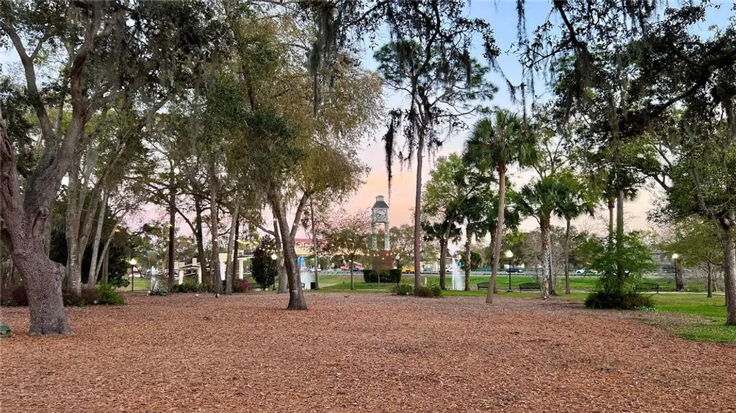 Natural landscape and outdoor views near  in Lake Mary (Image 15).