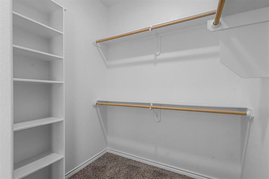 Walk in closet with carpet