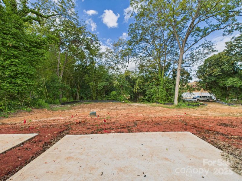 Common open space behind lots Common open space behind lots