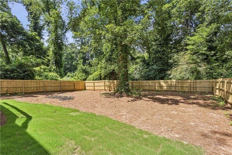 Natural landscape and outdoor views near  in Atlanta (Image 26).