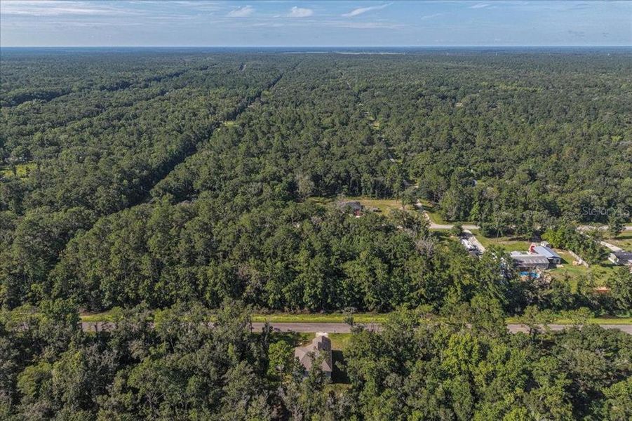 Natural landscape and outdoor views near Flagler Estates in Hastings (Image 61).