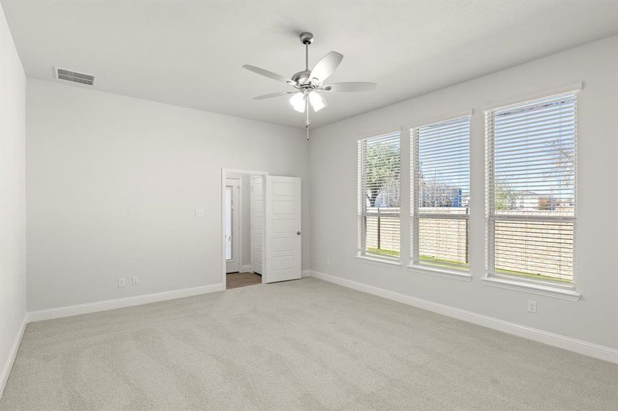 17. 103 Whistling Duck - Primary