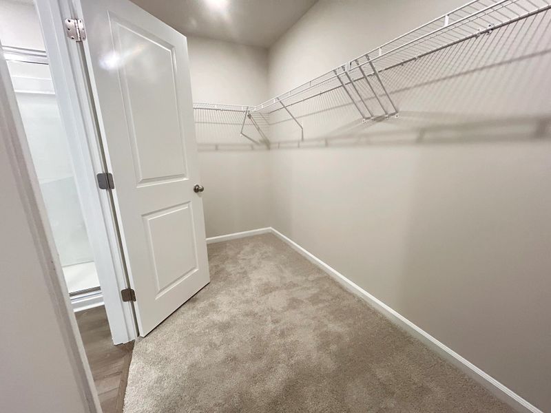 Spacious, unfurnished interior of a new home in Tea Farm, Ravenel (Image 12).