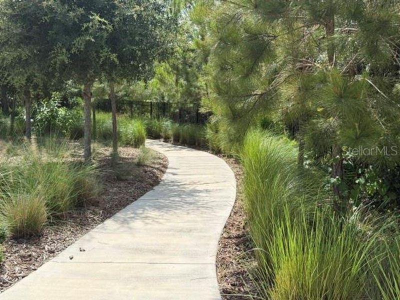 Natural landscape and outdoor views near Angeline Active Adult in Land O' Lakes (Image 27). Natural landscape and outdoor views near Angeline Active Adult in Land O' Lakes (Image 27).