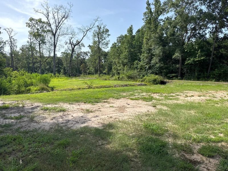 Back yard to creek Back yard to creek