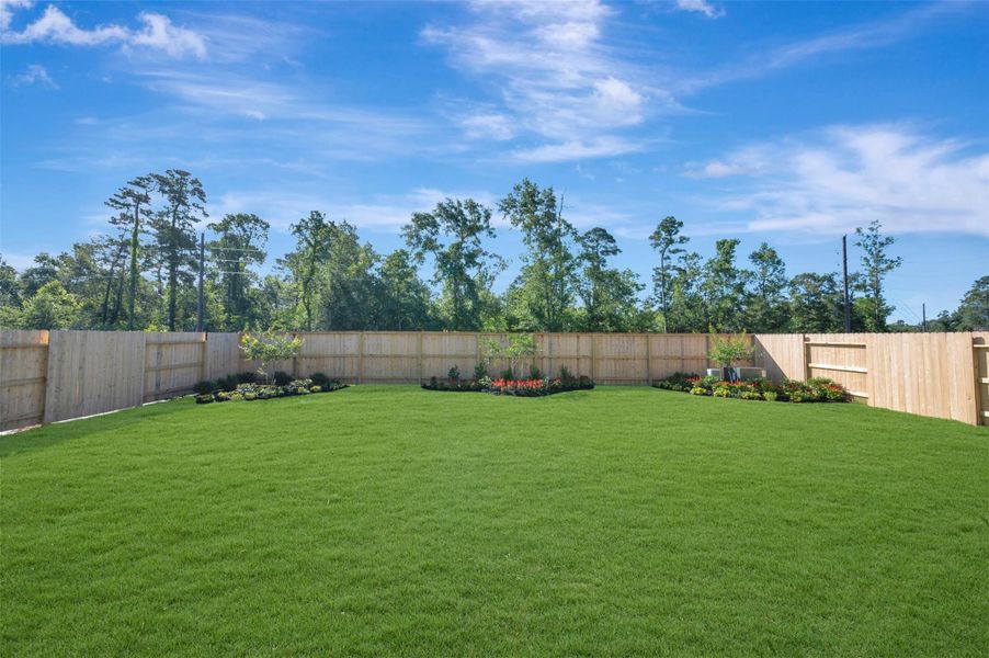 Amazing backyard Amazing backyard