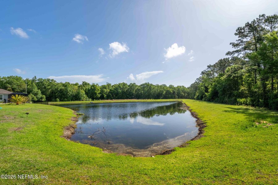 Natural landscape and outdoor views near Entrada in St. Augustine (Image 49). Natural landscape and outdoor views near Entrada in St. Augustine (Image 49).
